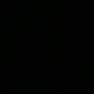 Meet your Posher, Kiara